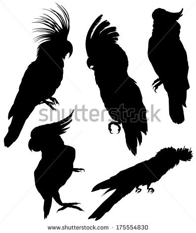Palm Cockatoo svg #11, Download drawings
