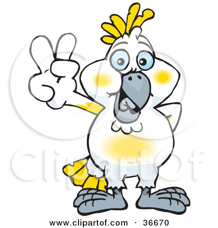 Cockatoo clipart #11, Download drawings