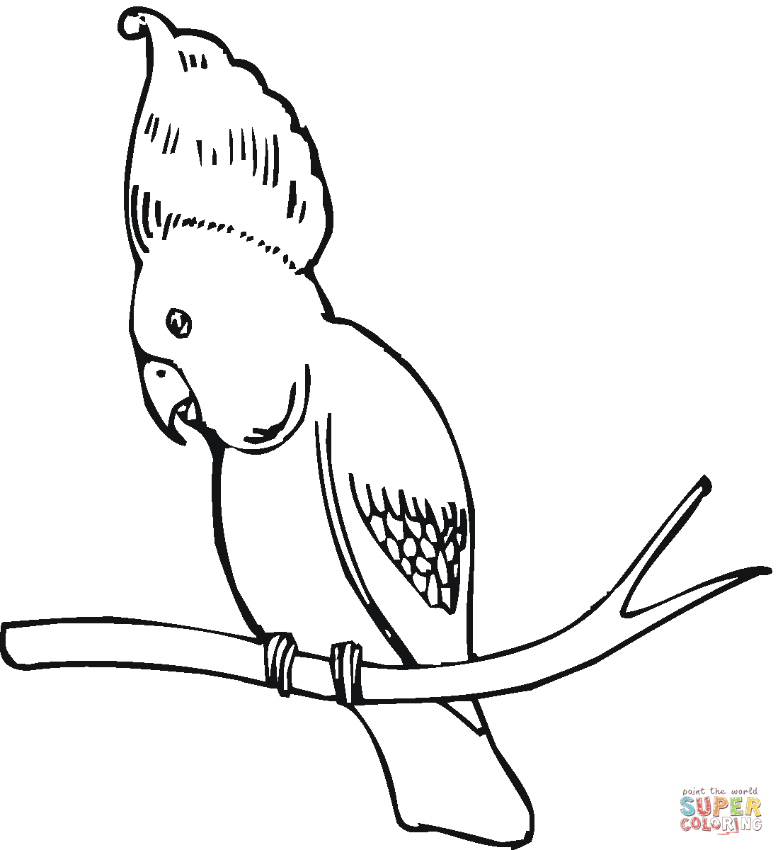 White Cockatoo coloring #8, Download drawings