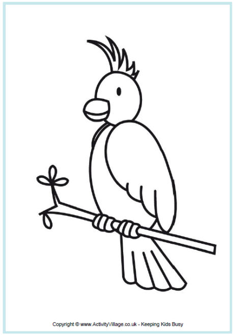 Cockatoo coloring #11, Download drawings