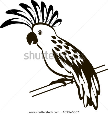 White Cockatoo svg #18, Download drawings
