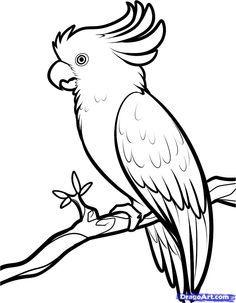 Parrot svg #16, Download drawings
