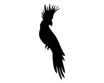 Palm Cockatoo svg #20, Download drawings