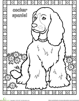 Cocker Spaniel coloring #20, Download drawings