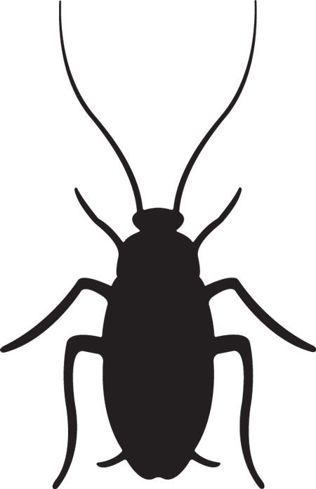 Cockroach clipart #11, Download drawings