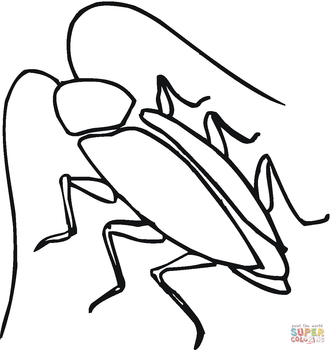 Cockroach coloring #19, Download drawings