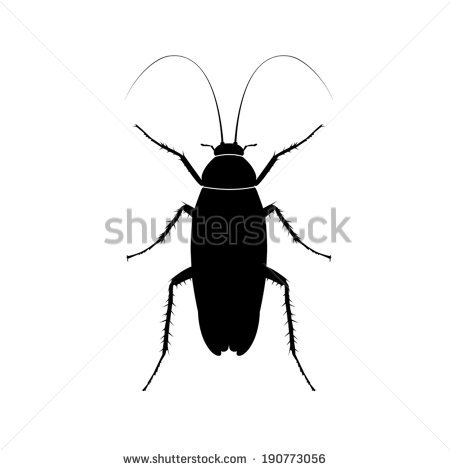 Cockroach svg #5, Download drawings