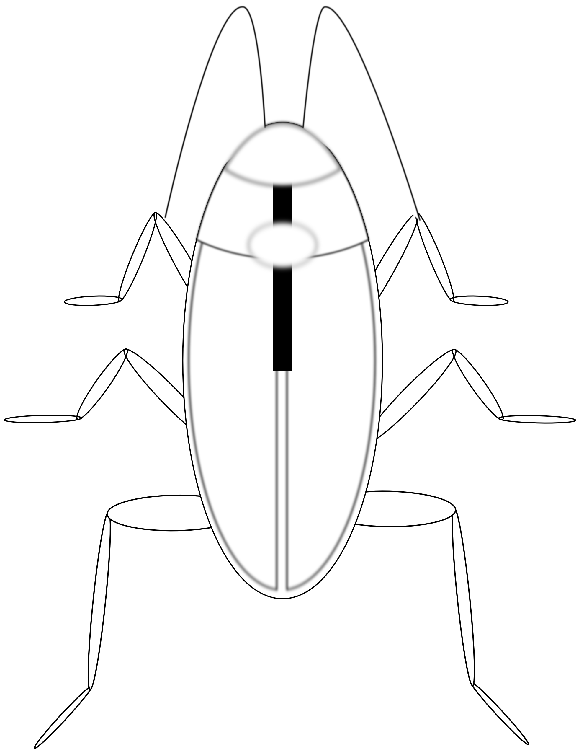 Cockroach svg #7, Download drawings