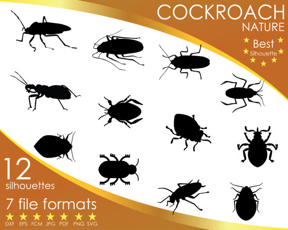 Cockroach svg #8, Download drawings
