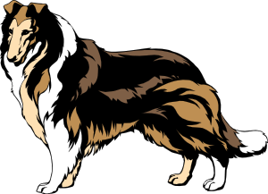Collie clipart #2, Download drawings