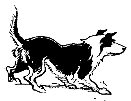 Collie clipart #16, Download drawings