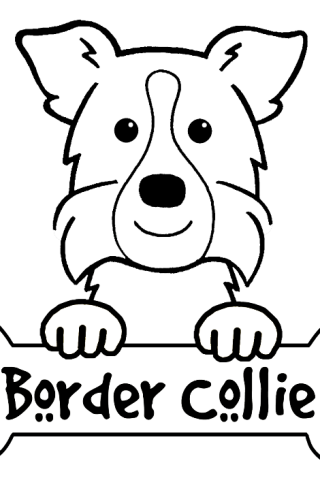 Collie coloring #1, Download drawings