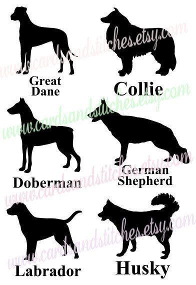 Collie svg #4, Download drawings
