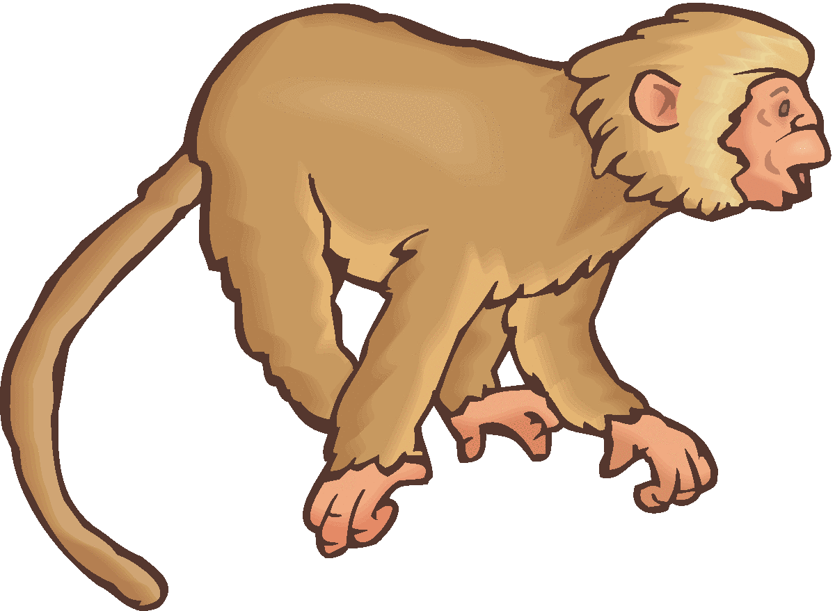 Squirrel Monkey clipart #4, Download drawings