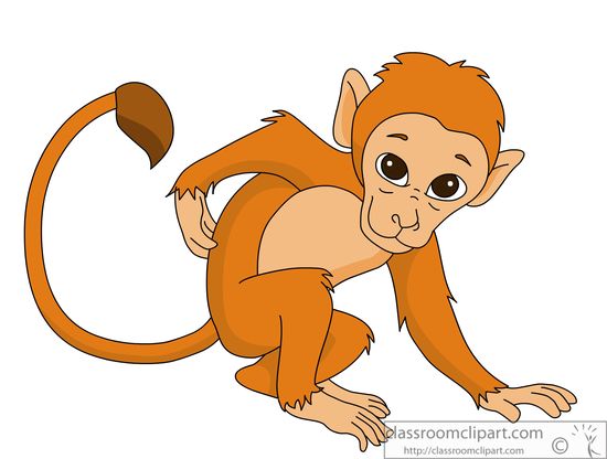 Colobus Monkey  clipart #17, Download drawings