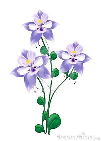 Colorado Blue Columbine clipart #19, Download drawings