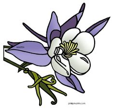 Colorado Blue Columbine clipart #9, Download drawings