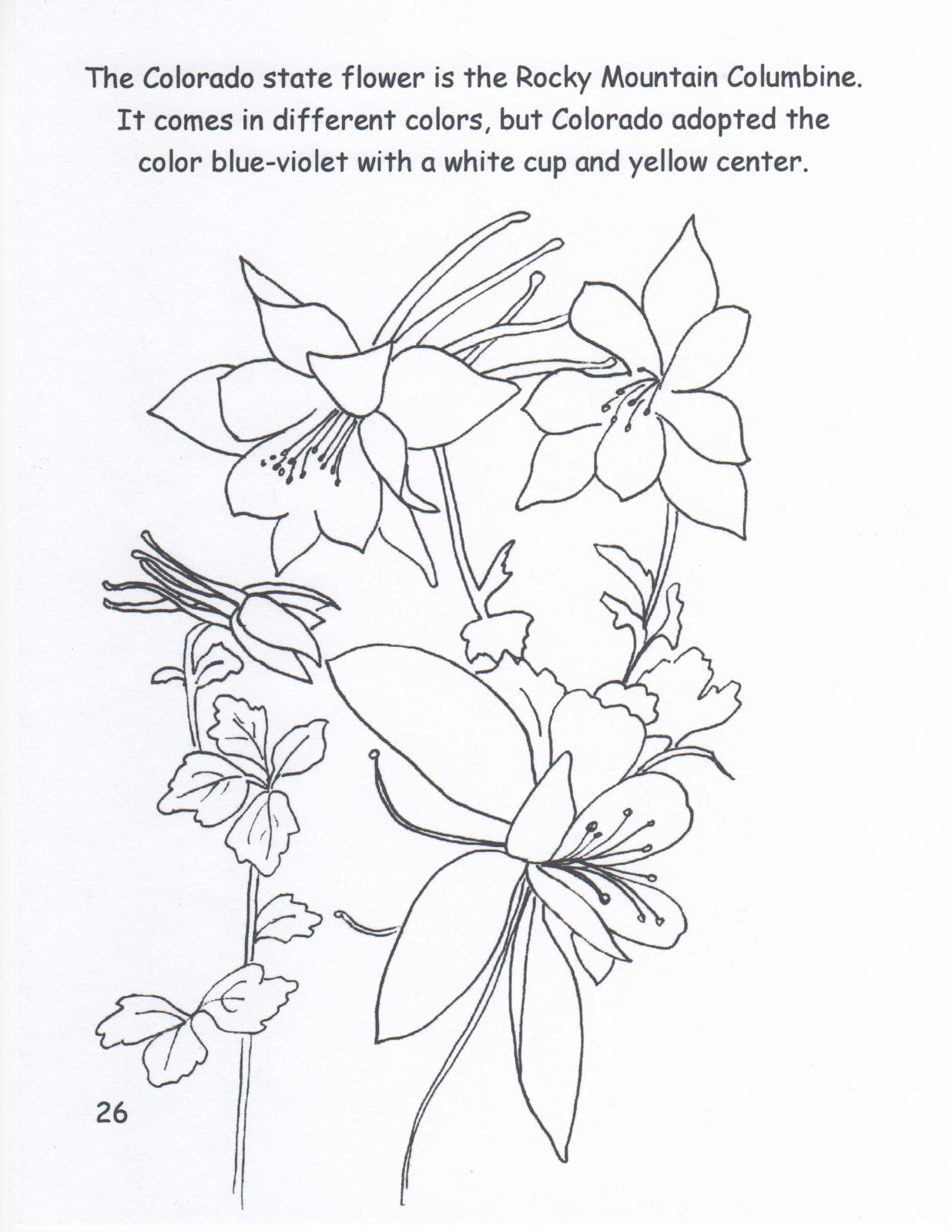 Colorado Blue Columbine coloring #3, Download drawings