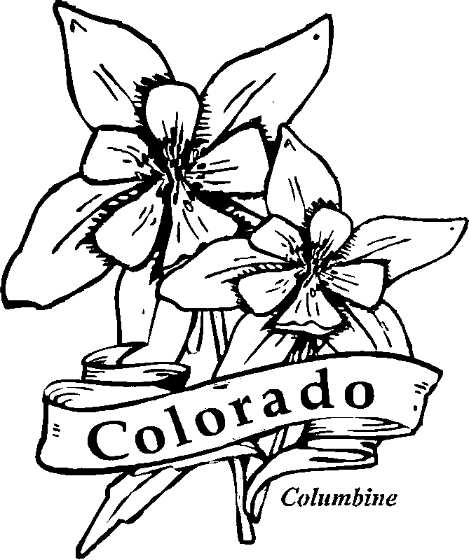 Colorado Blue Columbine coloring #19, Download drawings