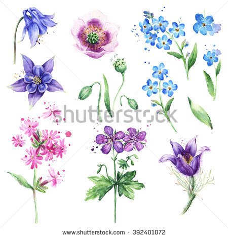 Columbine clipart #5, Download drawings