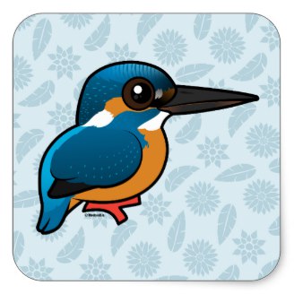 Common Kingfisher coloring #1, Download drawings