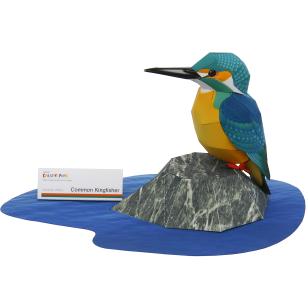 Common Kingfisher svg #1, Download drawings