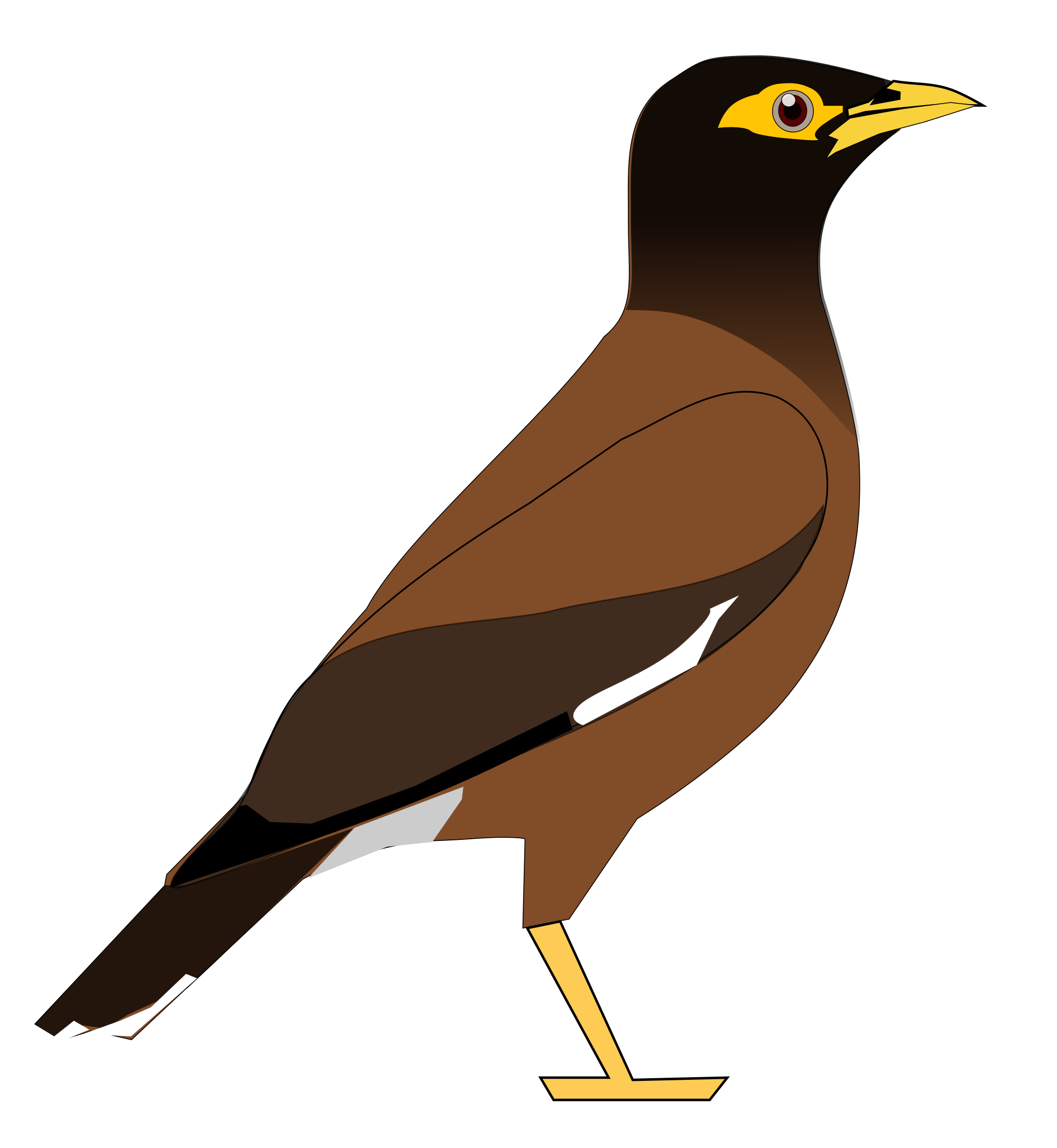 Common Myna svg #19, Download drawings