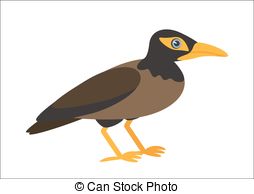 Common Myna clipart #3, Download drawings