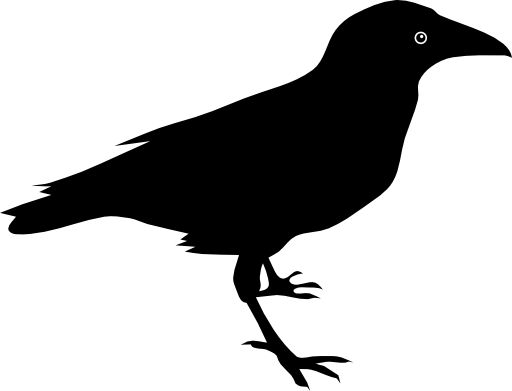 Common Raven clipart #6, Download drawings