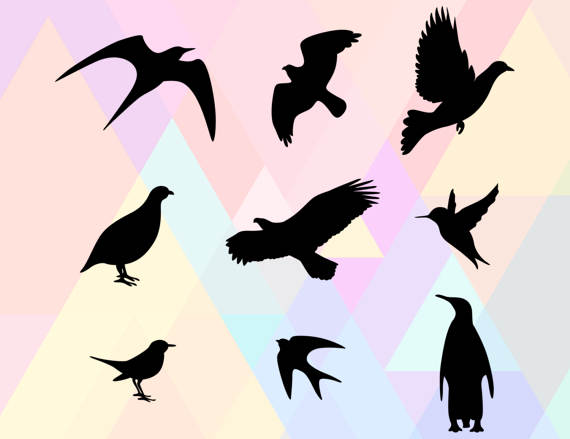 Common Raven svg #8, Download drawings