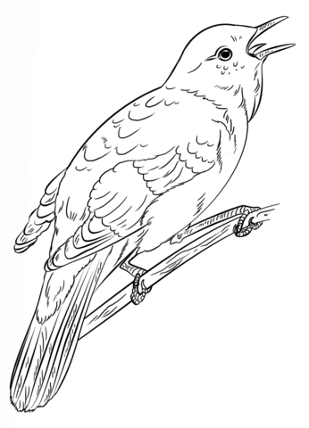 Nightingale coloring #19, Download drawings