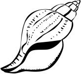 Conch clipart #11, Download drawings