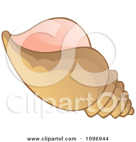 Conch clipart #2, Download drawings