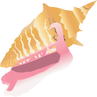 Conch svg #8, Download drawings