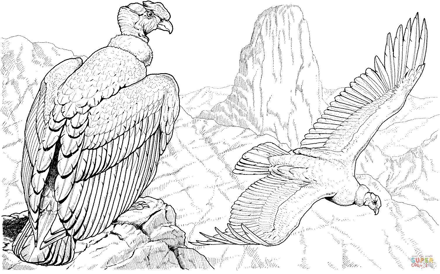 Condor coloring #1, Download drawings