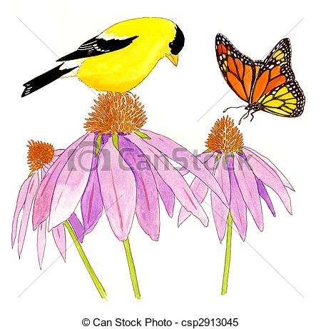 Cone Flower clipart #10, Download drawings