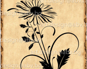 Cone Flower svg #1, Download drawings