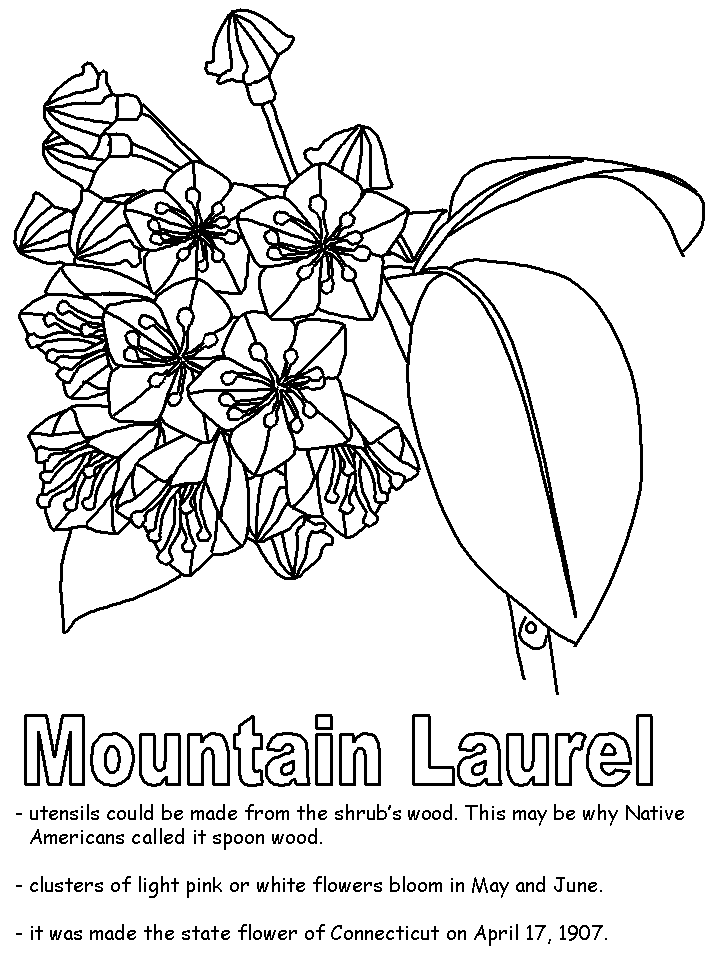 Connecticut coloring #12, Download drawings
