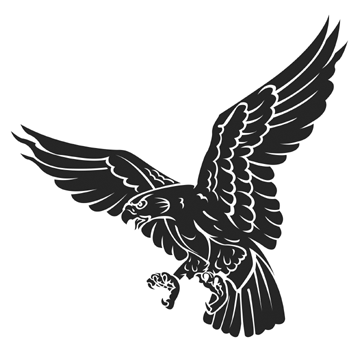 Cooper's Hawk clipart #14, Download drawings
