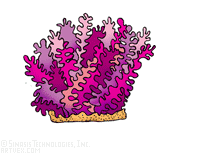 Coral clipart #9, Download drawings