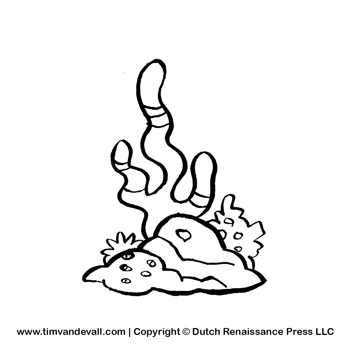 Coral clipart #13, Download drawings