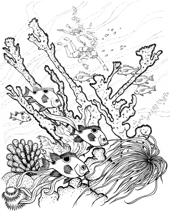 Coral coloring #6, Download drawings