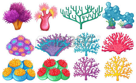 Coral Reef clipart #7, Download drawings