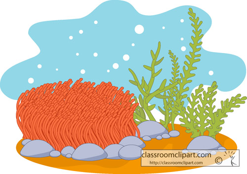 Reef clipart #20, Download drawings
