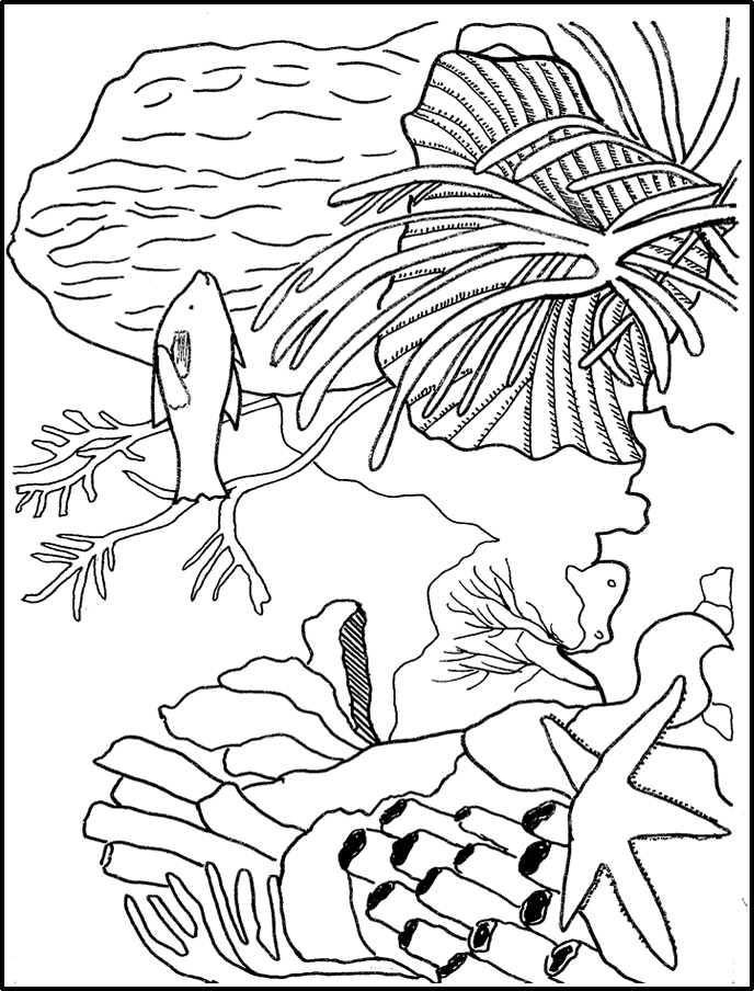 Reef coloring #17, Download drawings