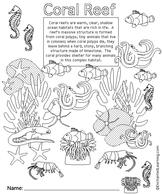 Coral Reef coloring #10, Download drawings