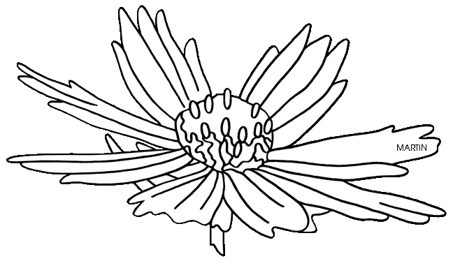 Coreopsis clipart #17, Download drawings