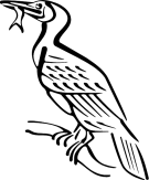 Cormorant clipart #2, Download drawings