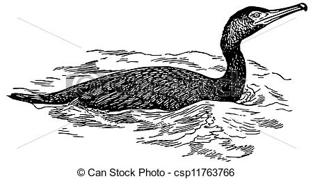 Cormorant clipart #1, Download drawings
