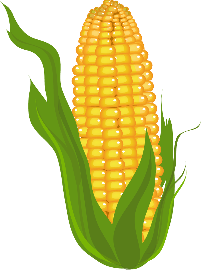 Corn clipart #13, Download drawings
